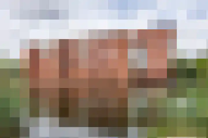 President Allendelaan 281 Amsterdam thumbnail 29