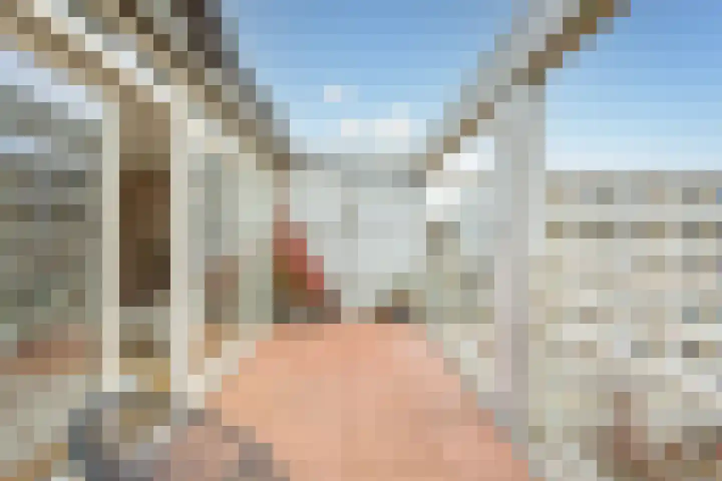President Allendelaan 339 Amsterdam thumbnail 15