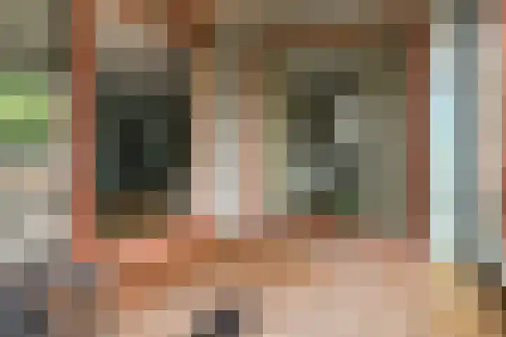 President Allendelaan 361 Amsterdam thumbnail 28