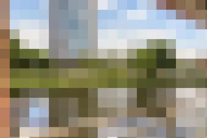 President Allendelaan 361 Amsterdam thumbnail 30