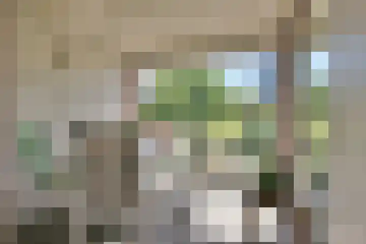 President Allendelaan 363 Amsterdam thumbnail 4