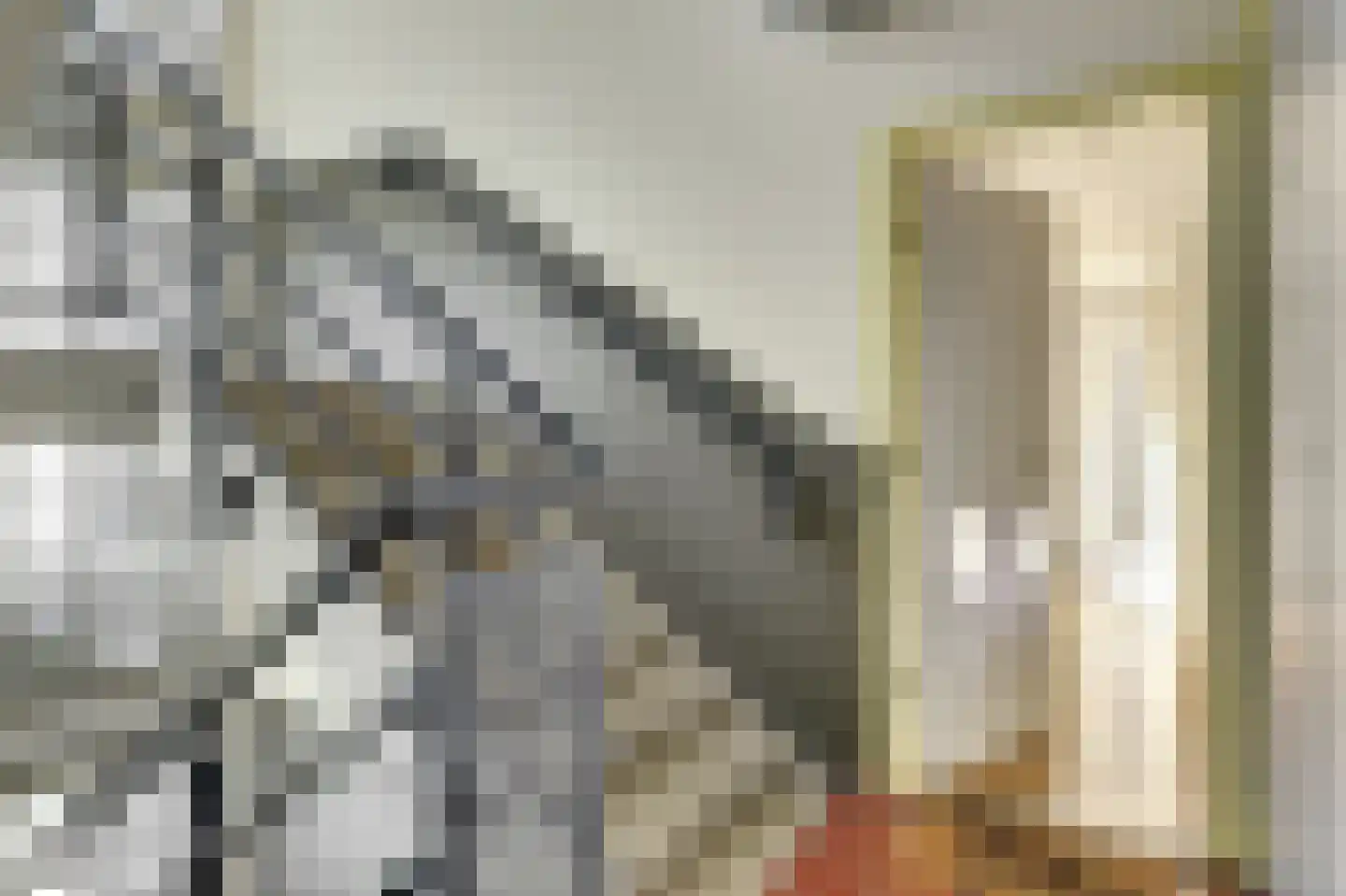 President Brandstraat 110 Amsterdam thumbnail 32