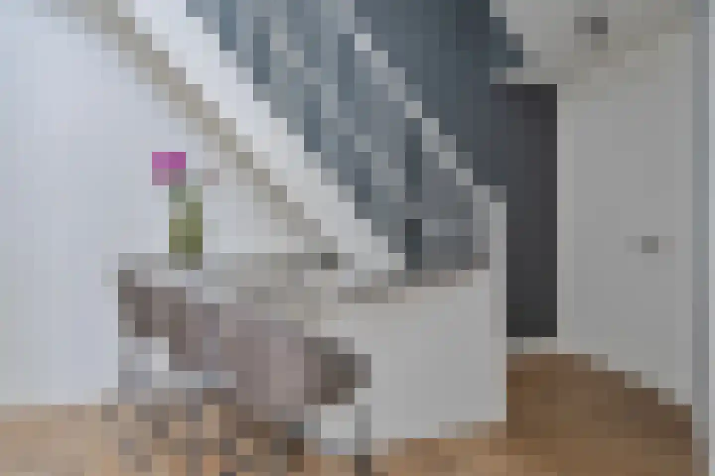 President Brandstraat 7 Amsterdam thumbnail 21