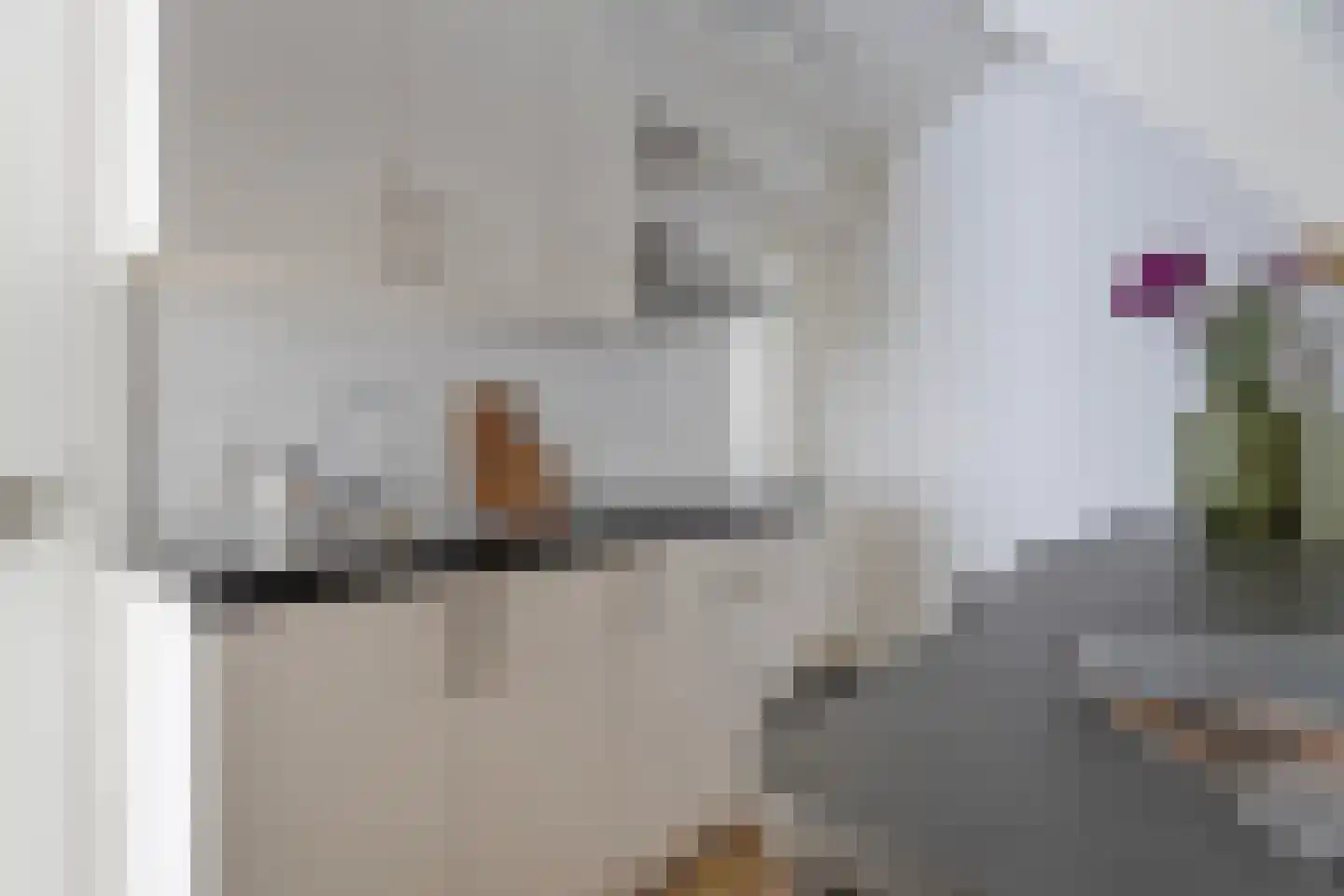 President Brandstraat 7 Amsterdam thumbnail 33