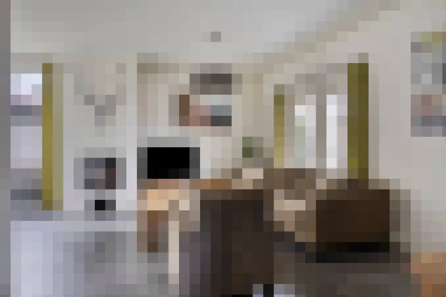 President Gerartsstraat 1 Gemert thumbnail 12