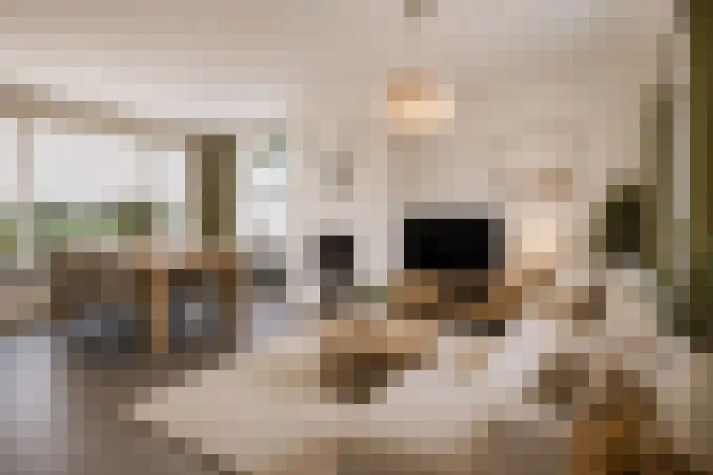 President Gerartsstraat 1 Gemert thumbnail 13