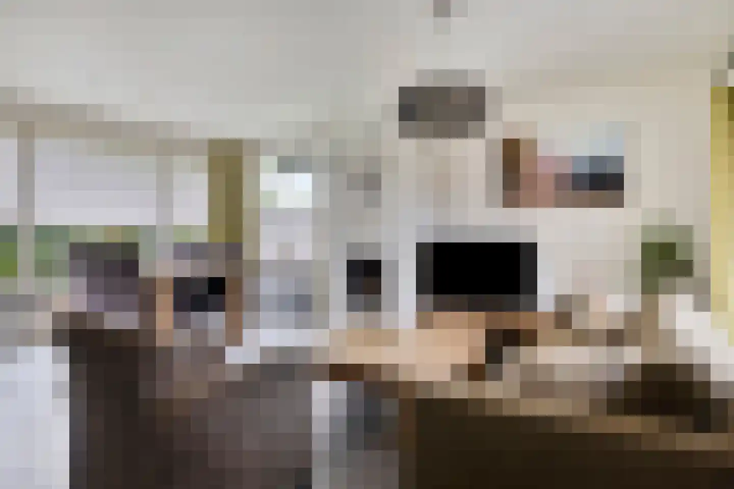 President Gerartsstraat 1 Gemert thumbnail 13