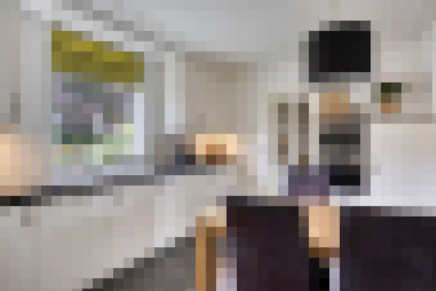 President Gerartsstraat 1 Gemert thumbnail 20