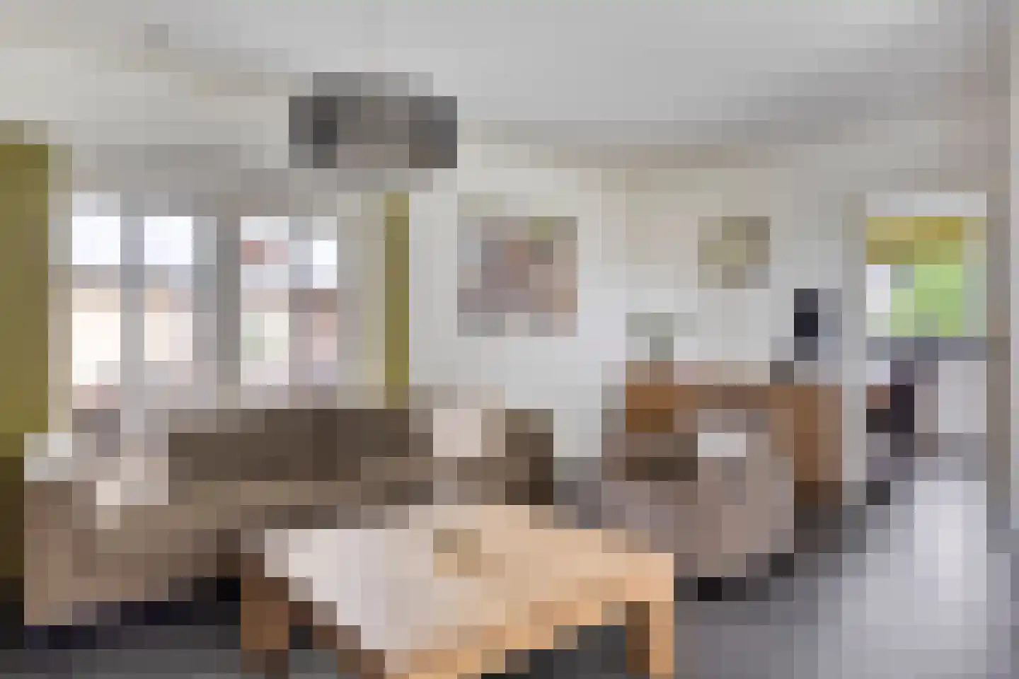 President Gerartsstraat 1 Gemert thumbnail 21