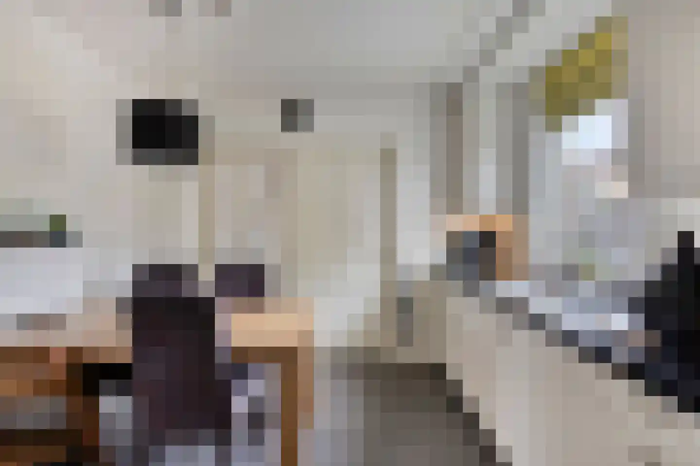 President Gerartsstraat 1 Gemert thumbnail 24