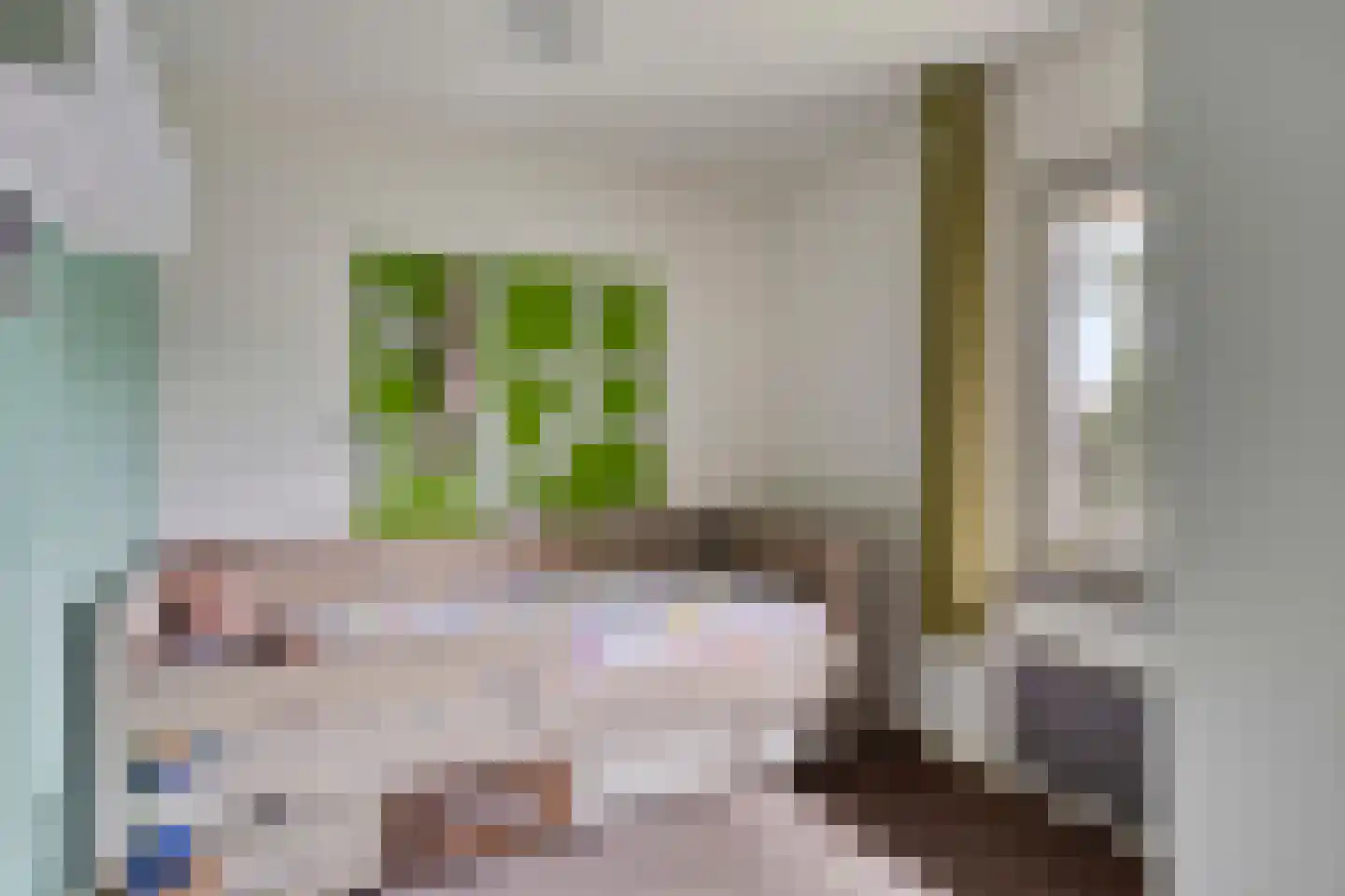 President Gerartsstraat 1 Gemert thumbnail 30