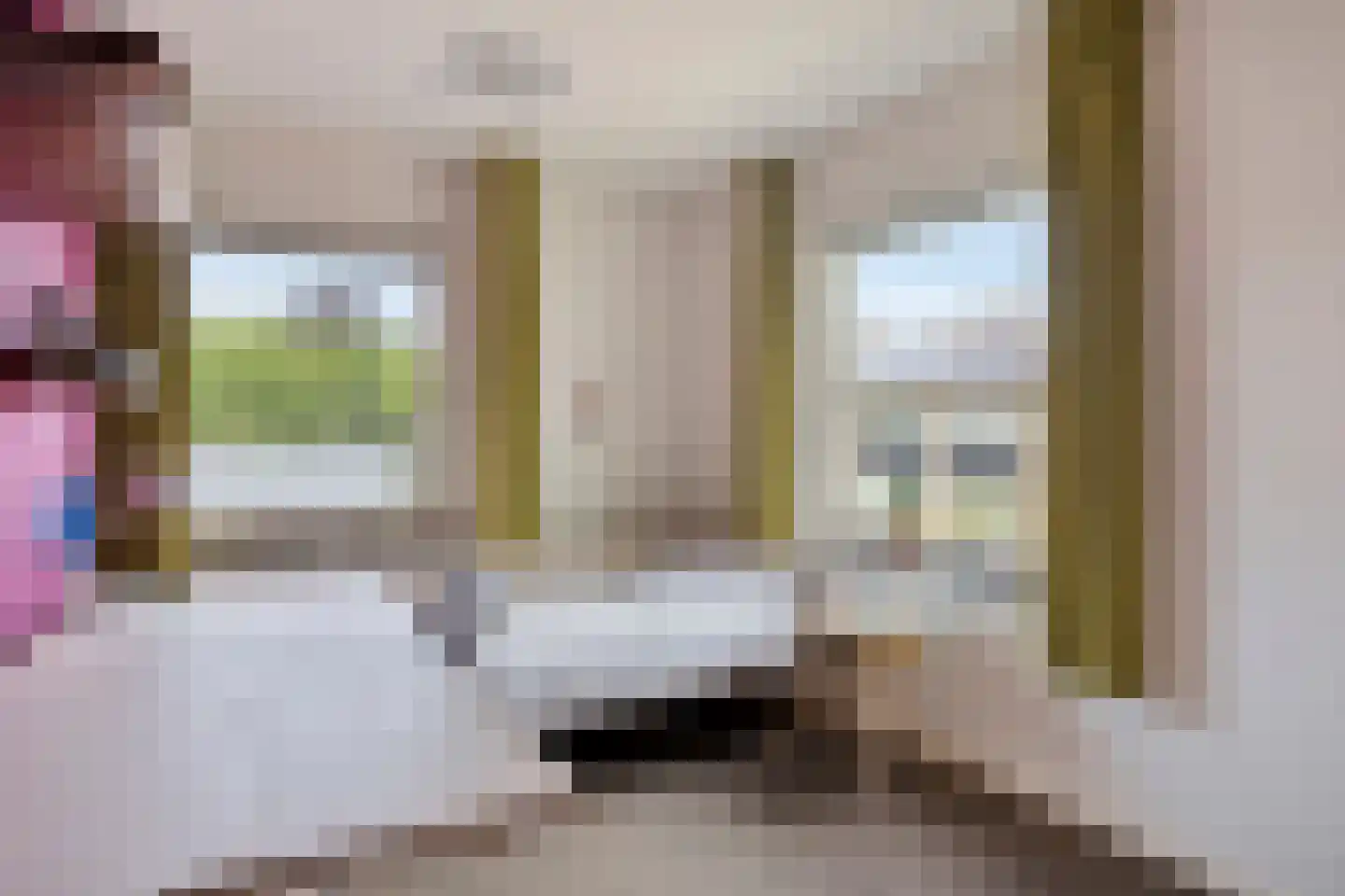 President Gerartsstraat 1 Gemert thumbnail 31