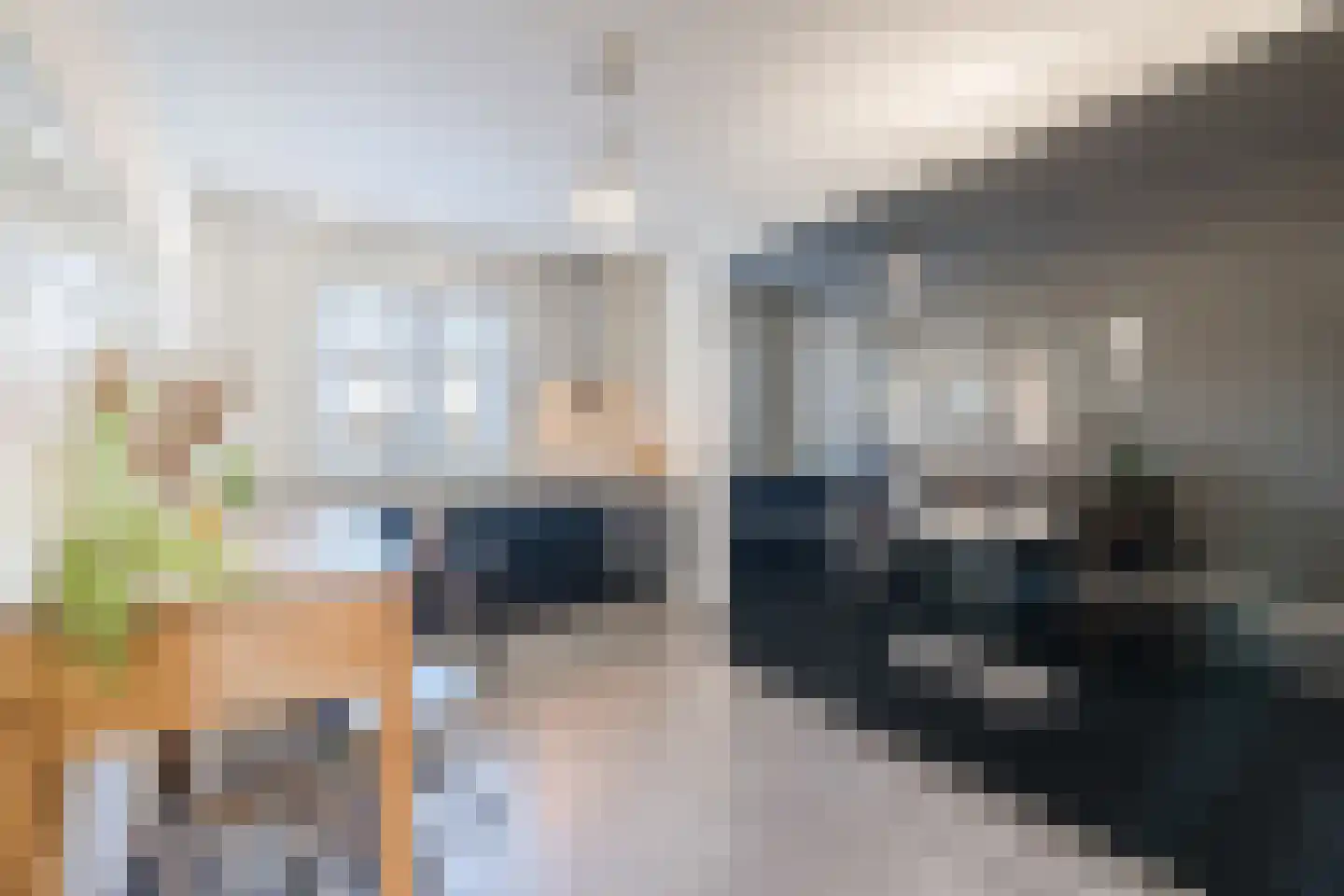 President Gerartsstraat 19 Gemert thumbnail 18