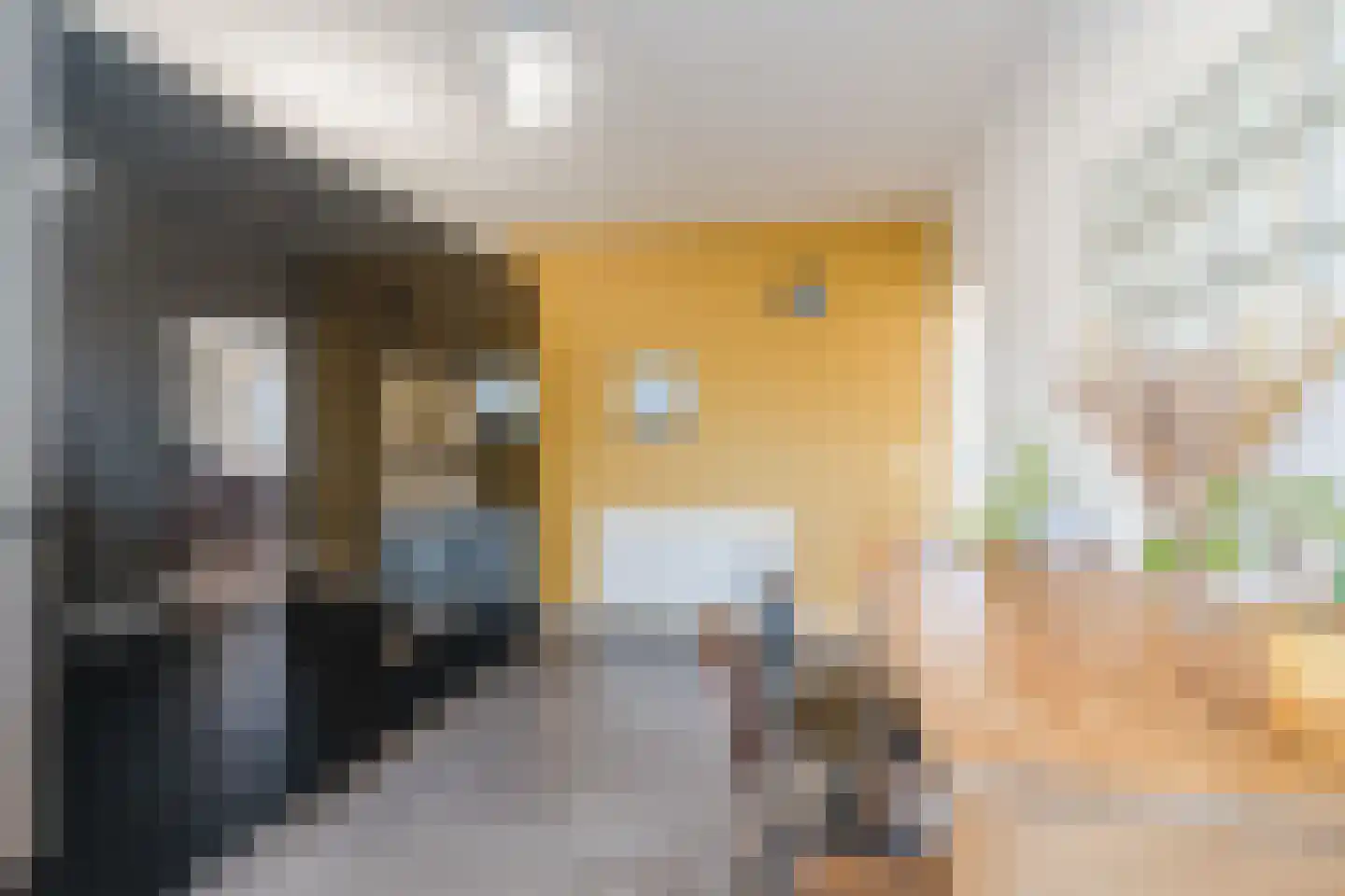 President Gerartsstraat 19 Gemert thumbnail 21
