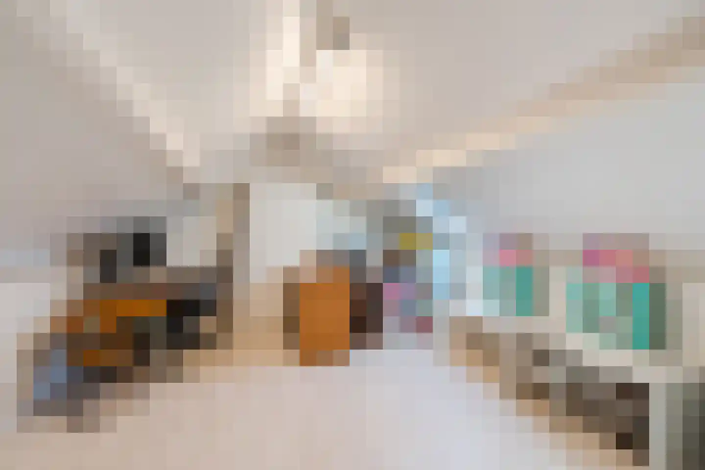 President Gerartsstraat 19 Gemert thumbnail 43