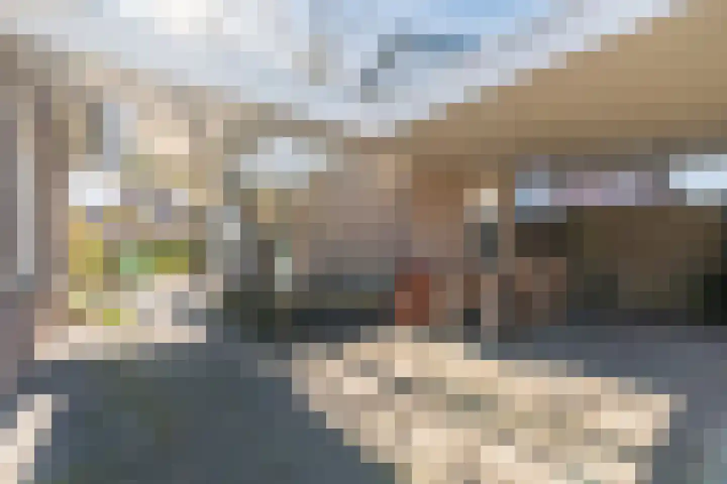 President Gerartsstraat 19 Gemert thumbnail 47