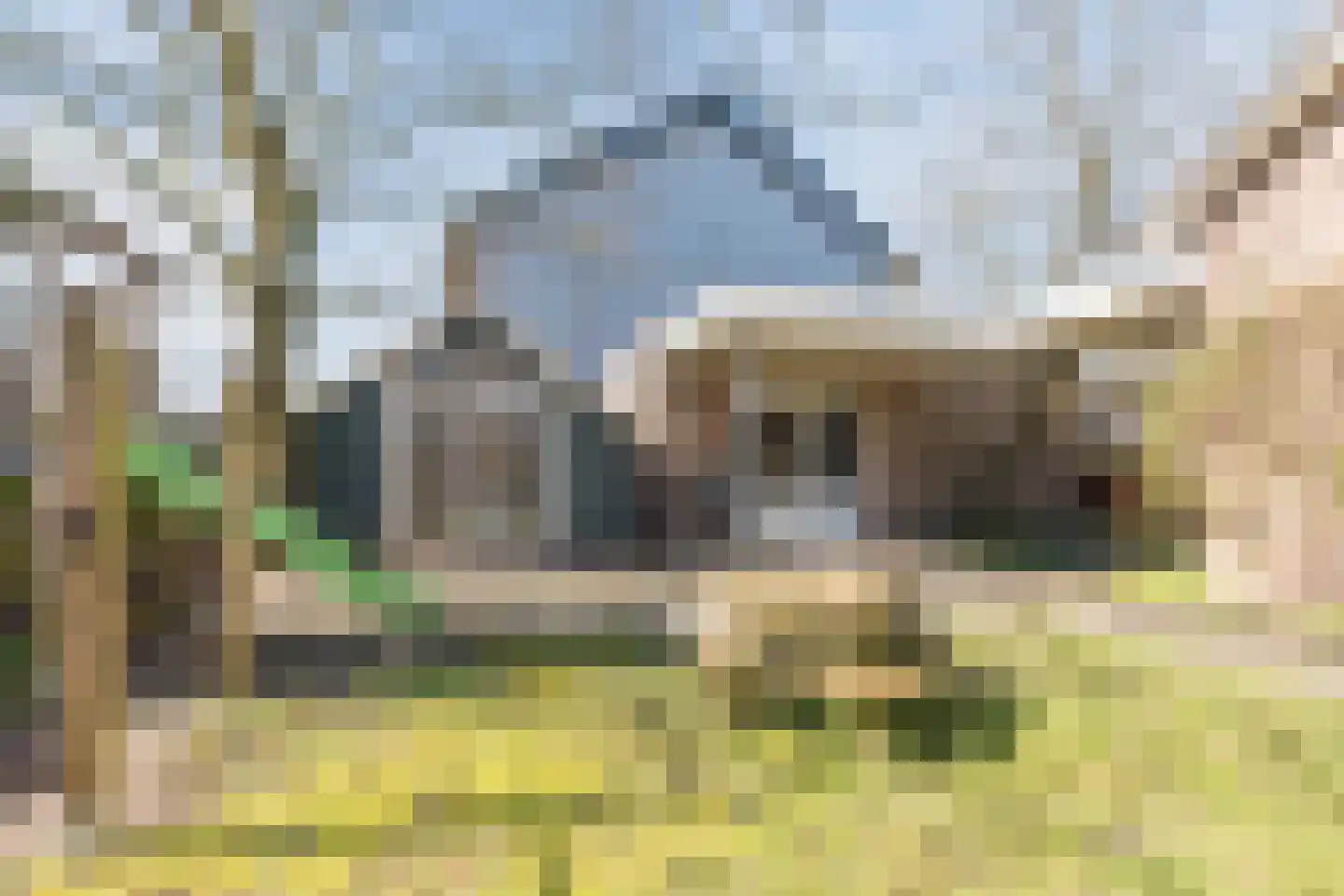 President Gerartsstraat 19 Gemert thumbnail 51