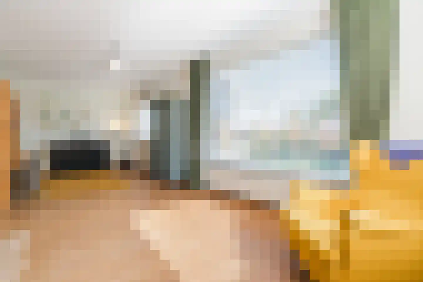 President Gerartsstraat 19 Gemert thumbnail 7