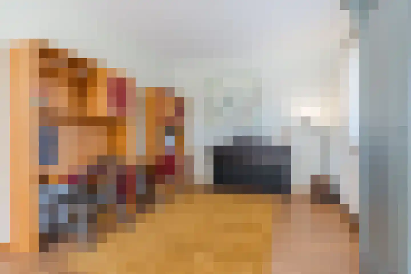 President Gerartsstraat 19 Gemert thumbnail 8