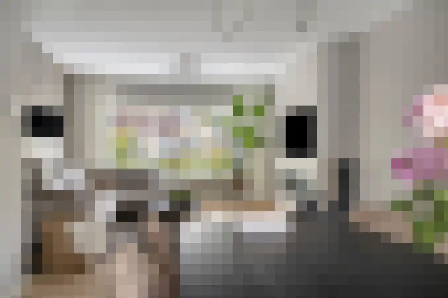 President Hopstakenlaan 77 Hoeven thumbnail 11