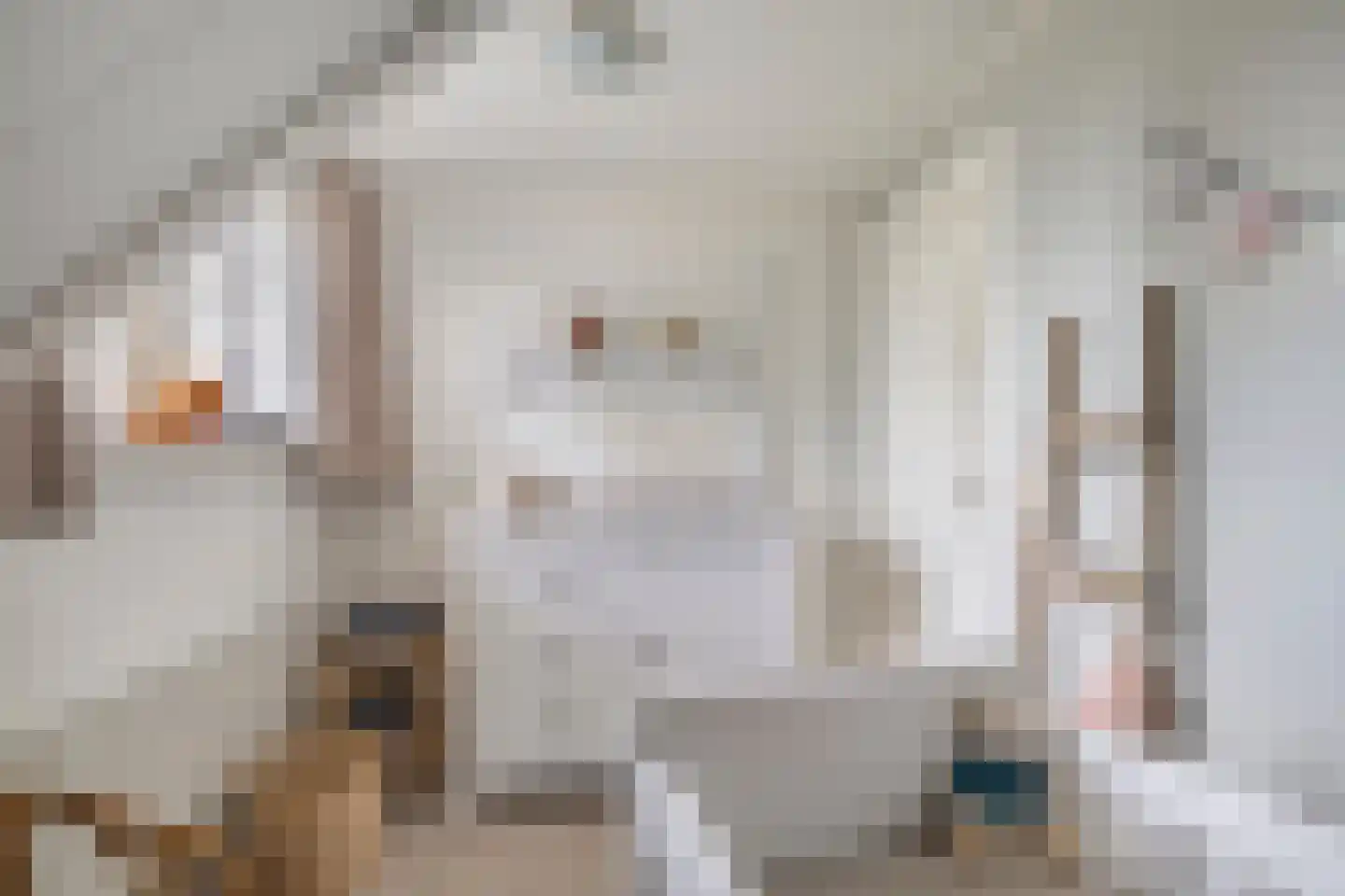 President Hopstakenlaan 77 Hoeven thumbnail 25