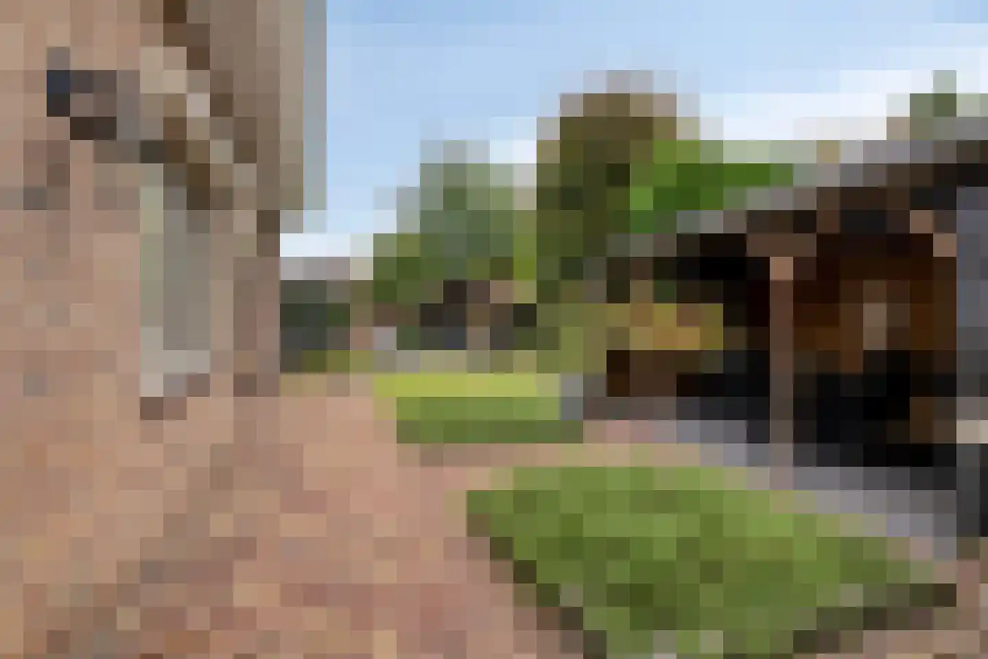 President Hopstakenlaan 77 Hoeven thumbnail 35