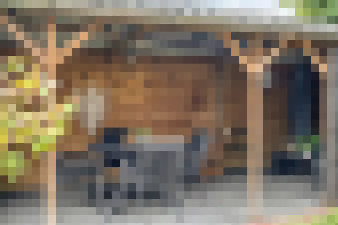President Hopstakenlaan 77 Hoeven thumbnail 37