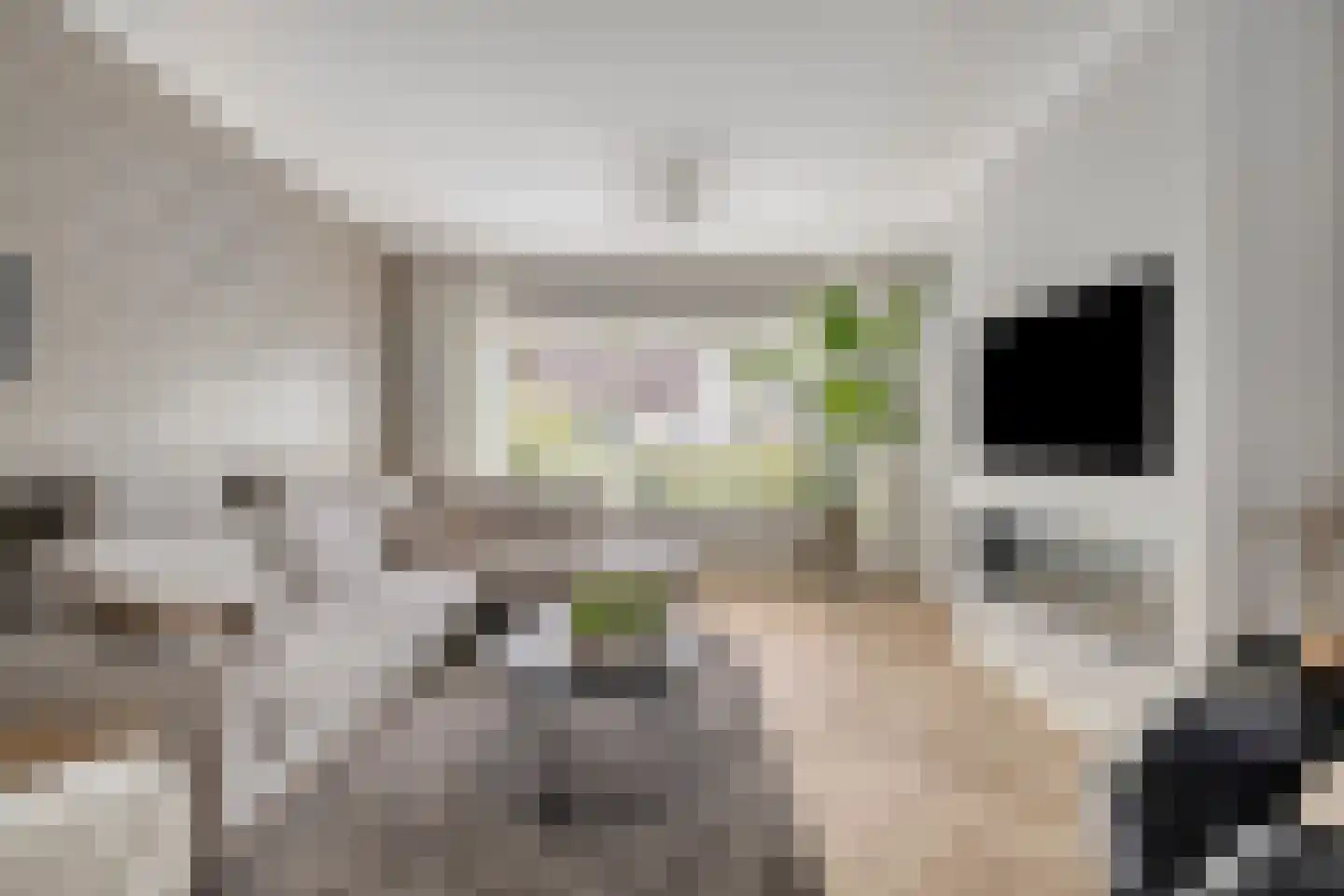 President Hopstakenlaan 77 Hoeven thumbnail 4