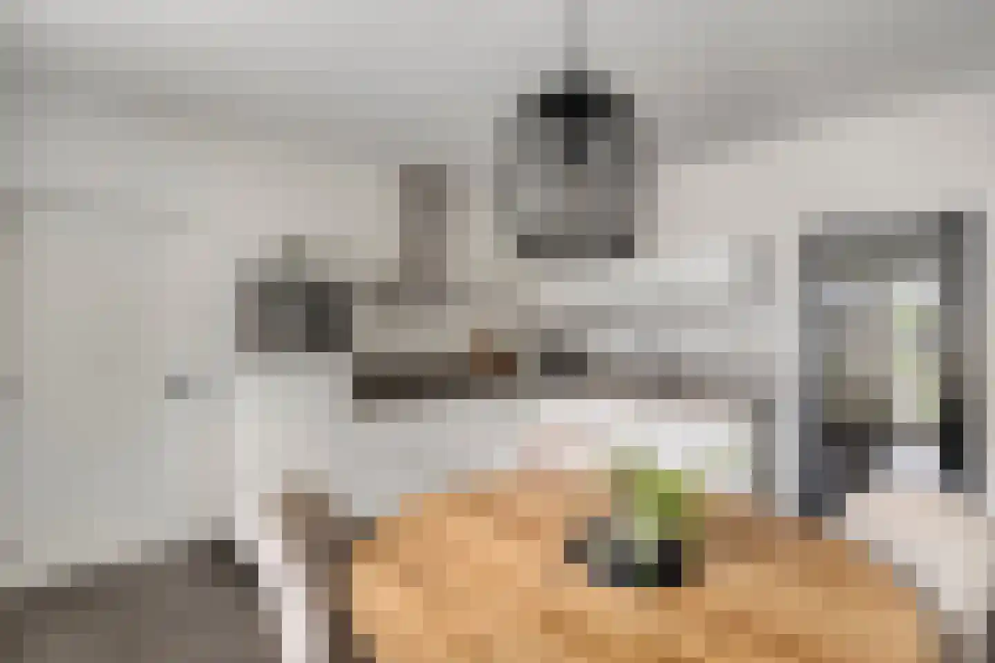 President Hopstakenlaan 77 Hoeven thumbnail 5