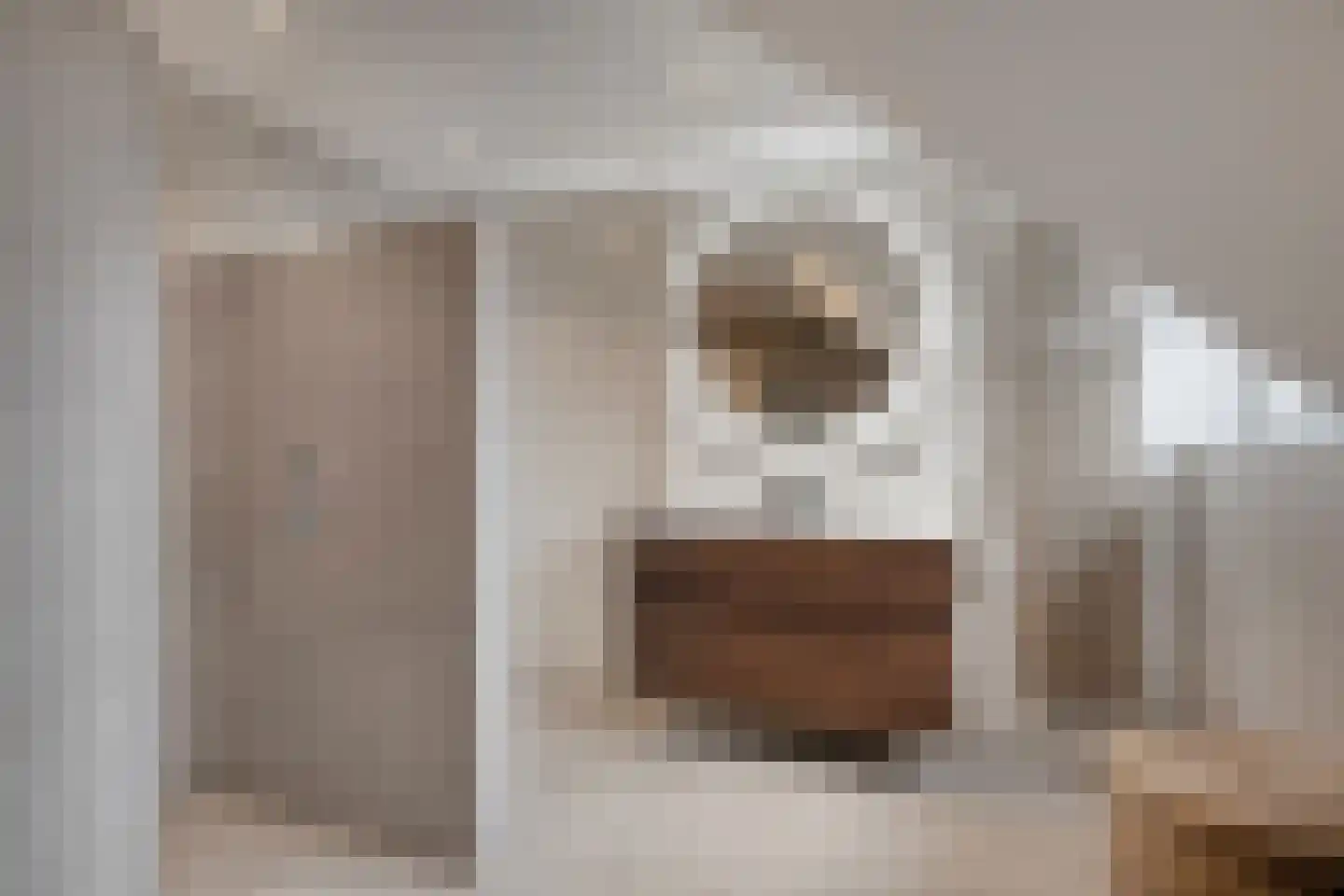 President Hopstakenlaan 77 Hoeven thumbnail 7