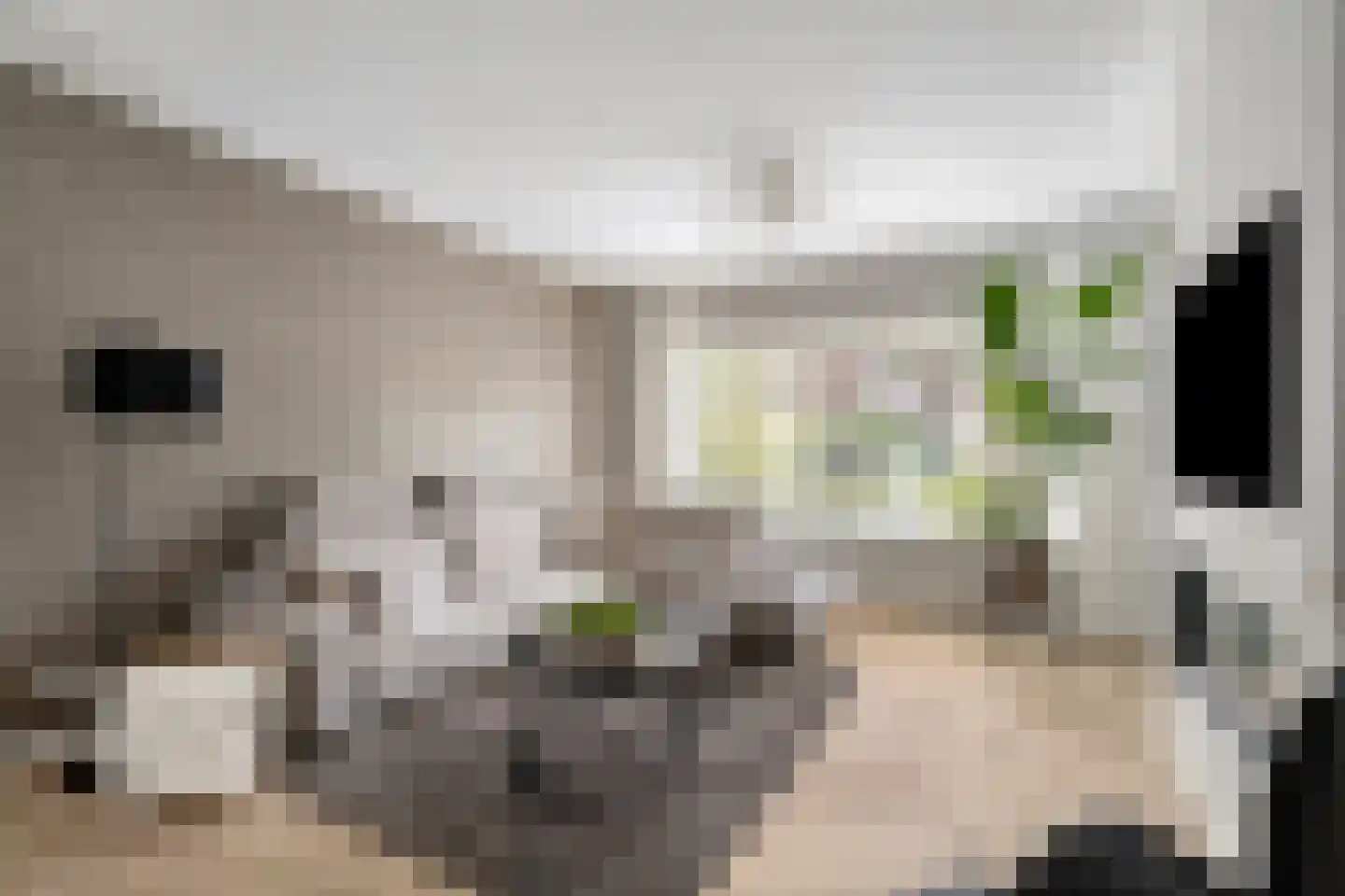 President Hopstakenlaan 77 Hoeven thumbnail 9