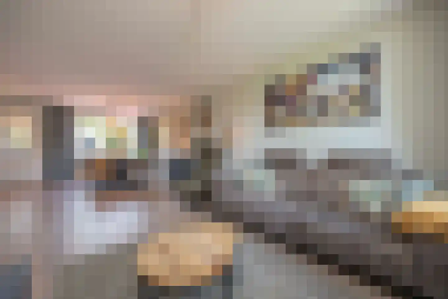 President Hopstakenlaan 78 Hoeven thumbnail 10