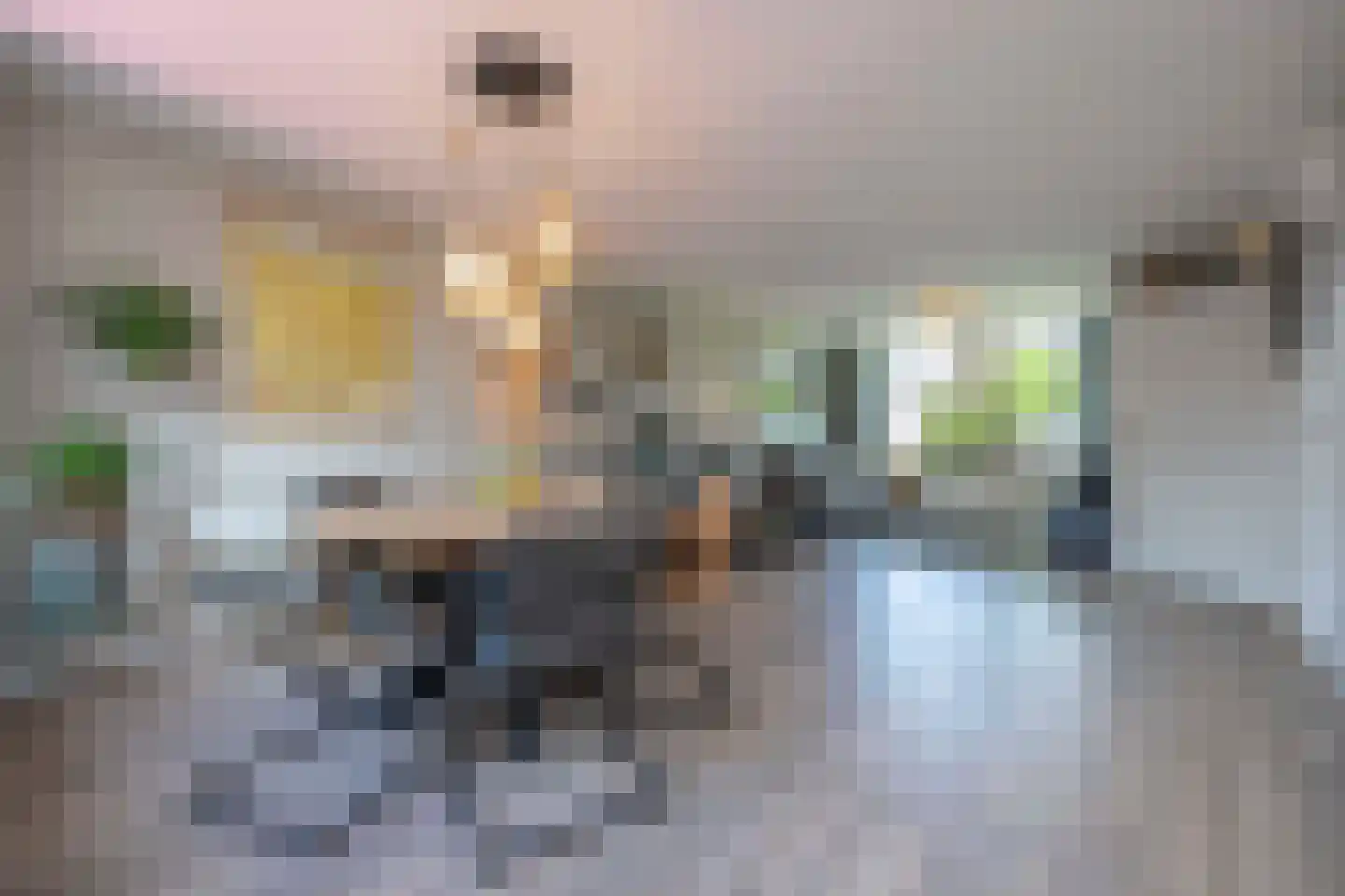 President Hopstakenlaan 78 Hoeven thumbnail 13