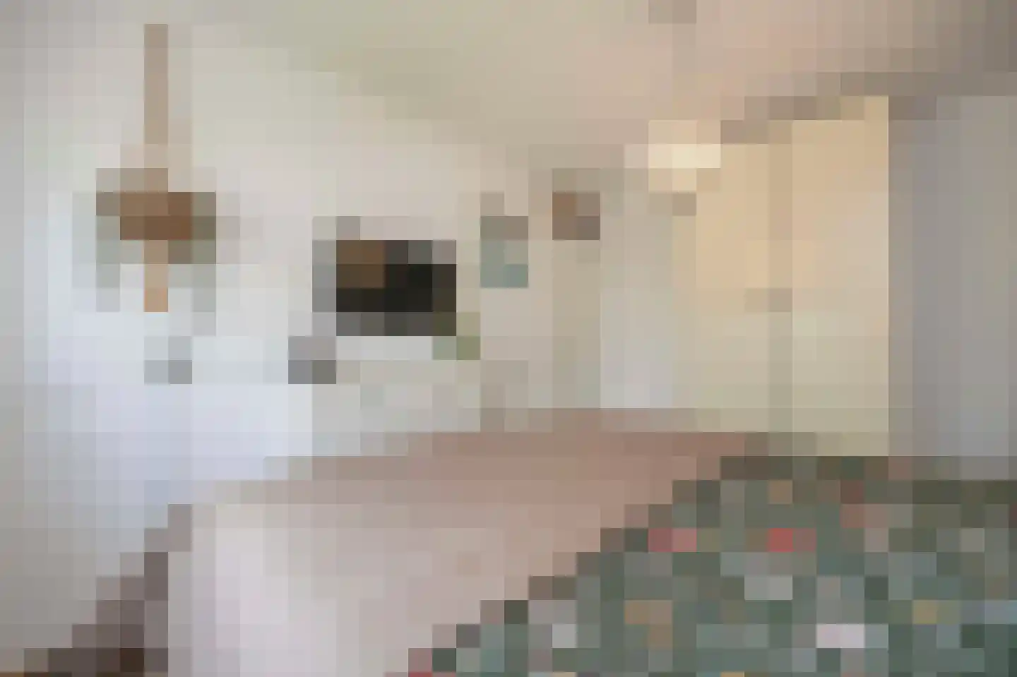 President Hopstakenlaan 78 Hoeven thumbnail 20