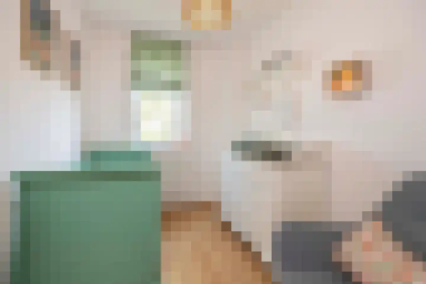 President Hopstakenlaan 78 Hoeven thumbnail 21