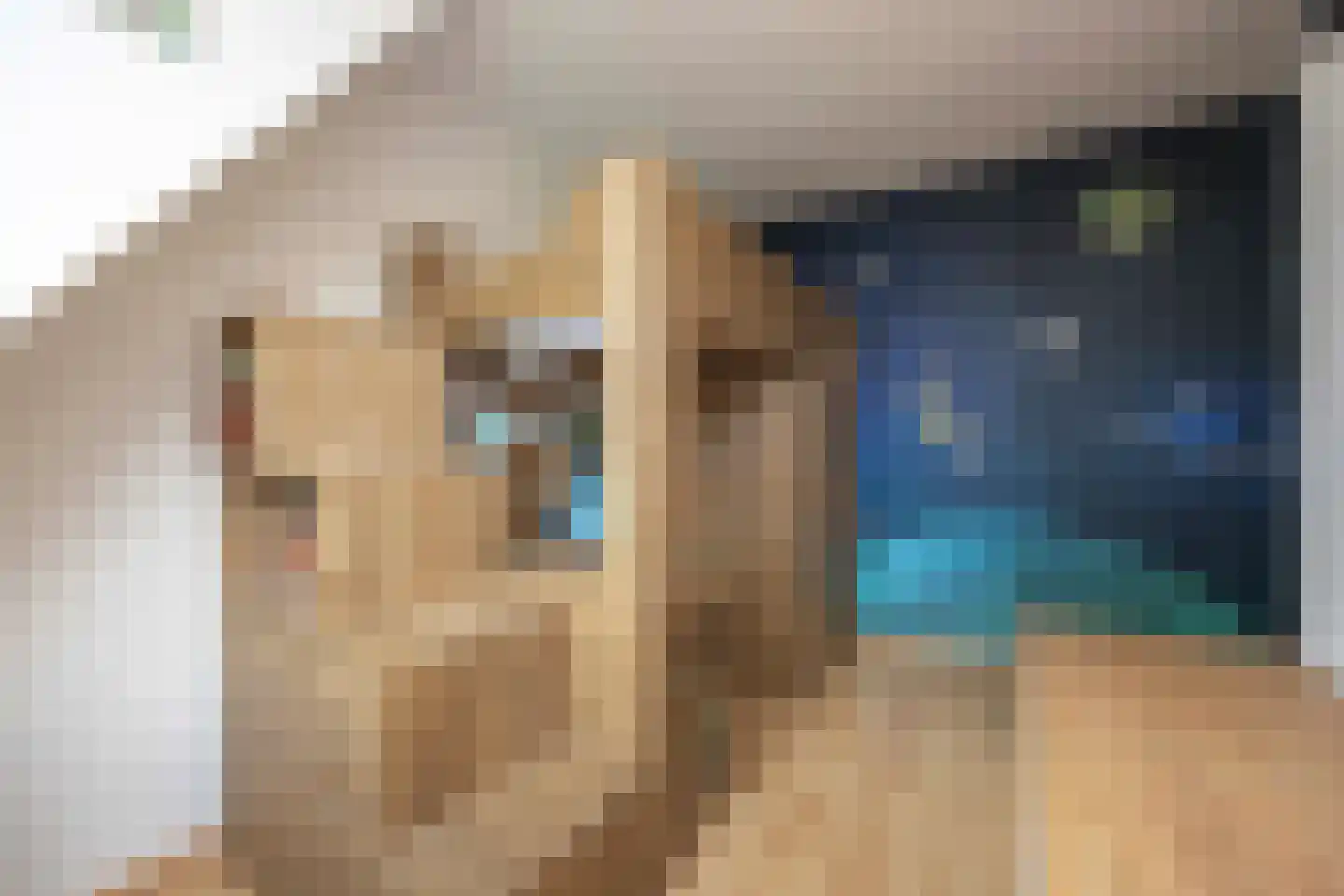 President Hopstakenlaan 78 Hoeven thumbnail 24