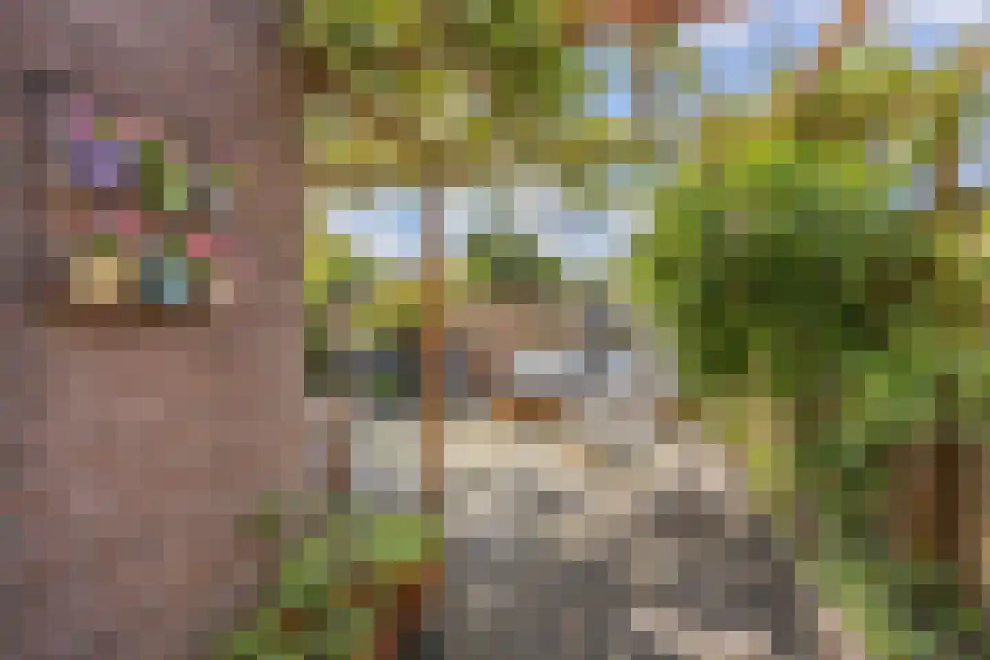President Hopstakenlaan 78 Hoeven thumbnail 30