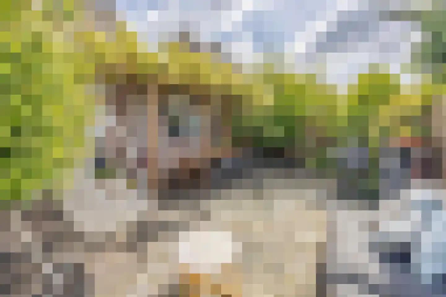 President Hopstakenlaan 78 Hoeven thumbnail 31