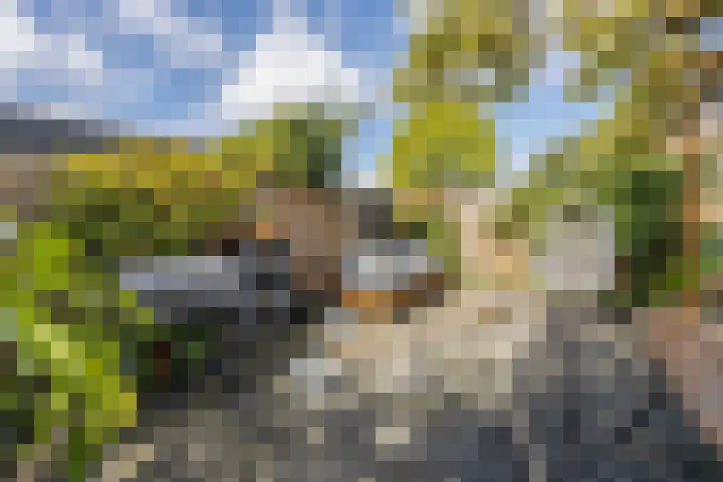 President Hopstakenlaan 78 Hoeven thumbnail 33