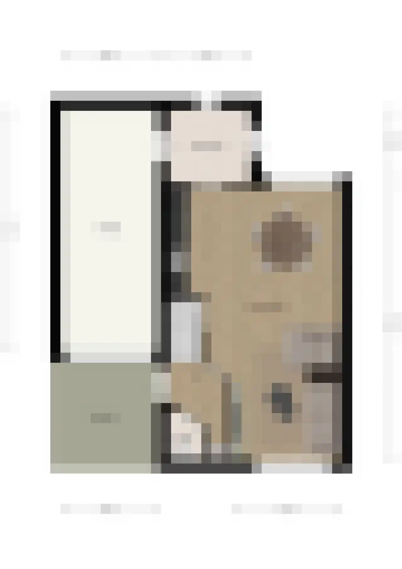 President Hopstakenlaan 78 Hoeven thumbnail 37