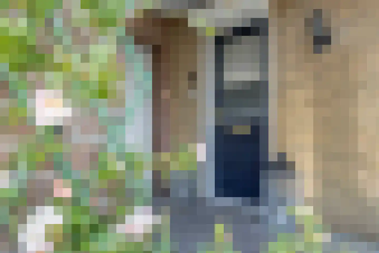 President Hopstakenlaan 78 Hoeven thumbnail 4