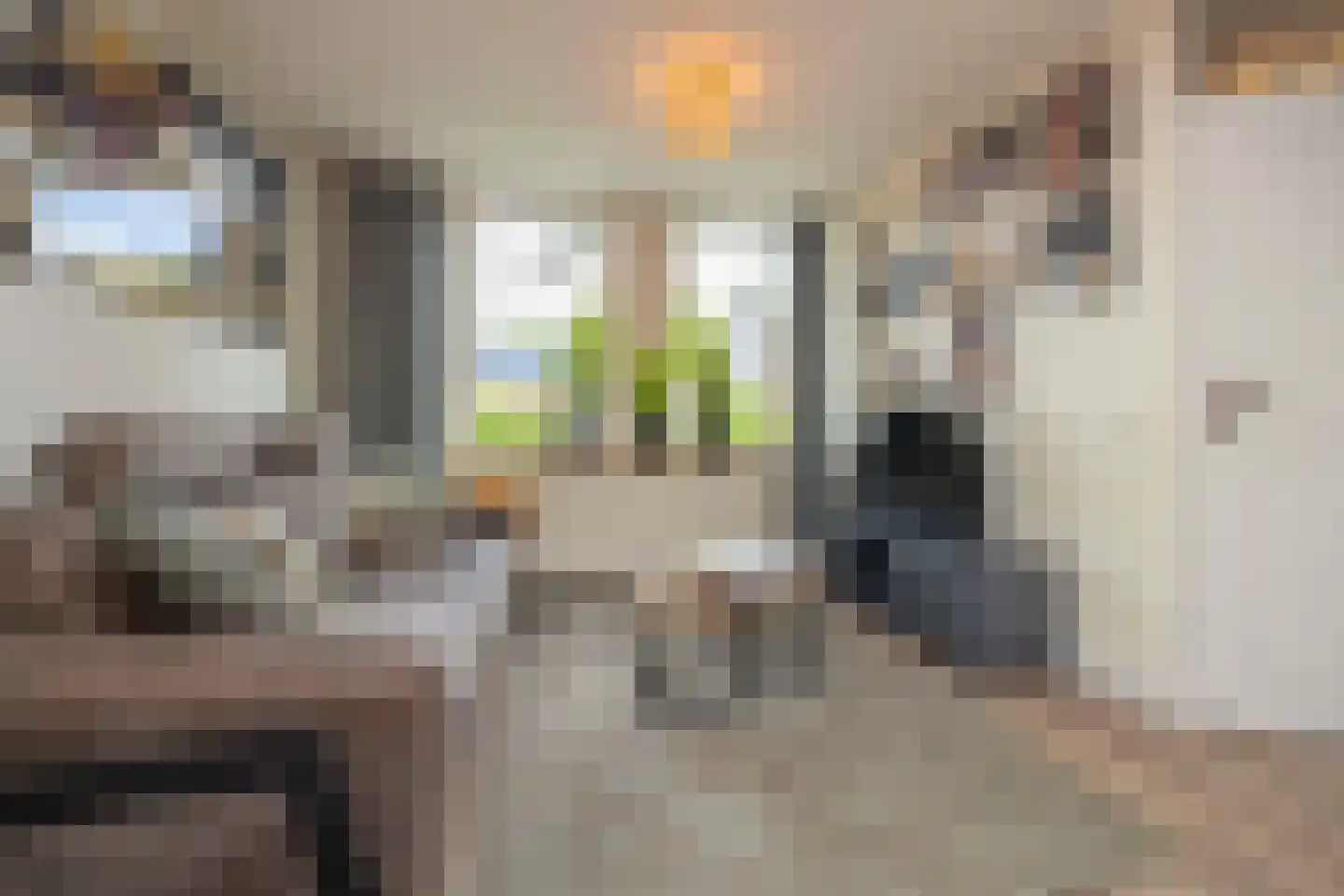 President Hopstakenlaan 78 Hoeven thumbnail 7