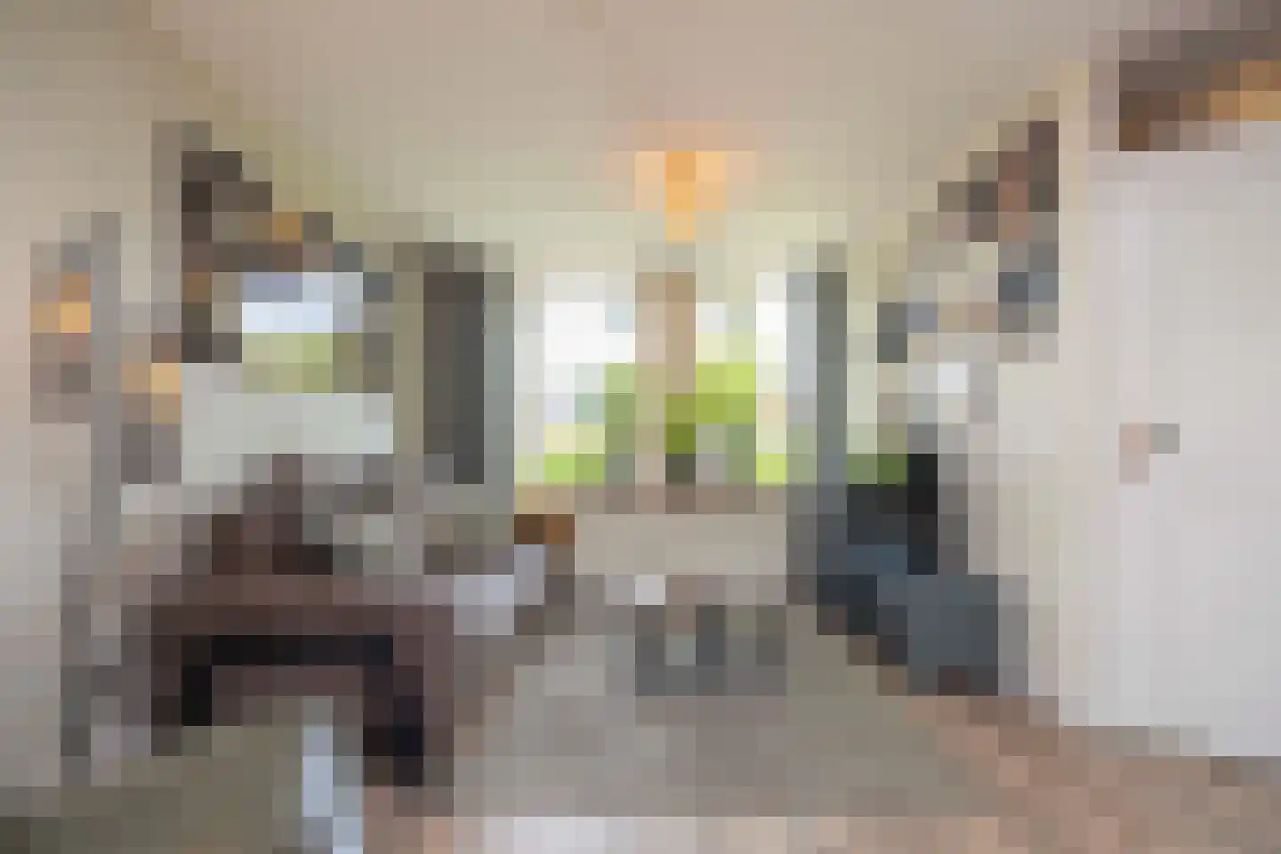 President Hopstakenlaan 78 Hoeven thumbnail 8