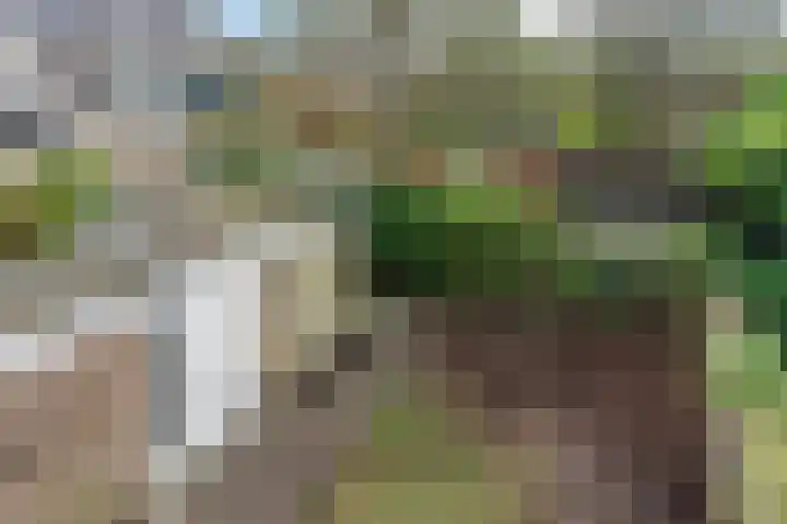 President Kennedylaan 10 Oegstgeest thumbnail 15