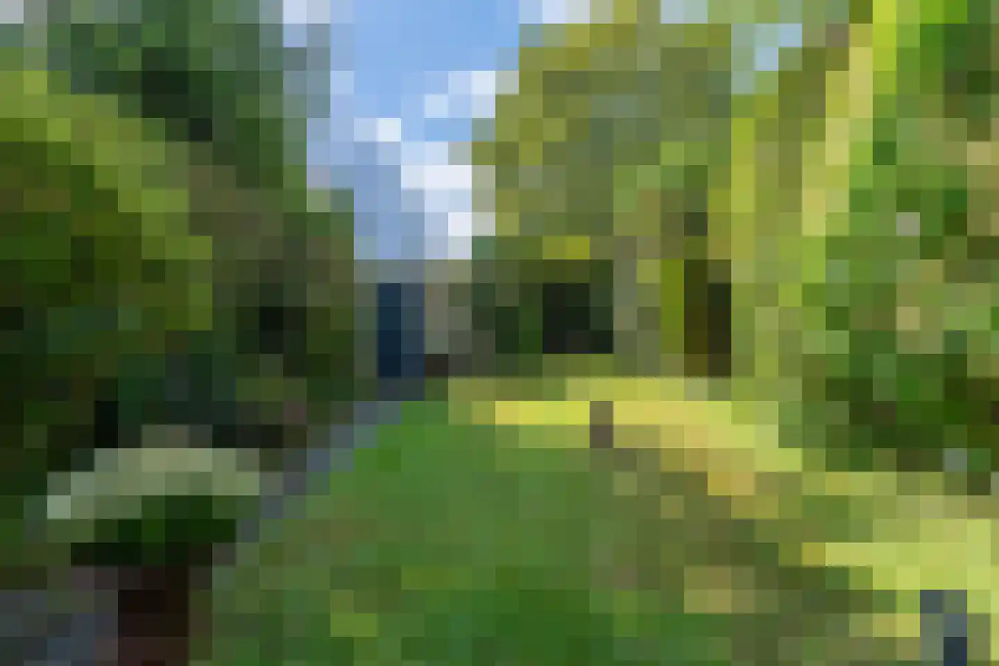 President Kennedylaan 102 Oegstgeest thumbnail 28