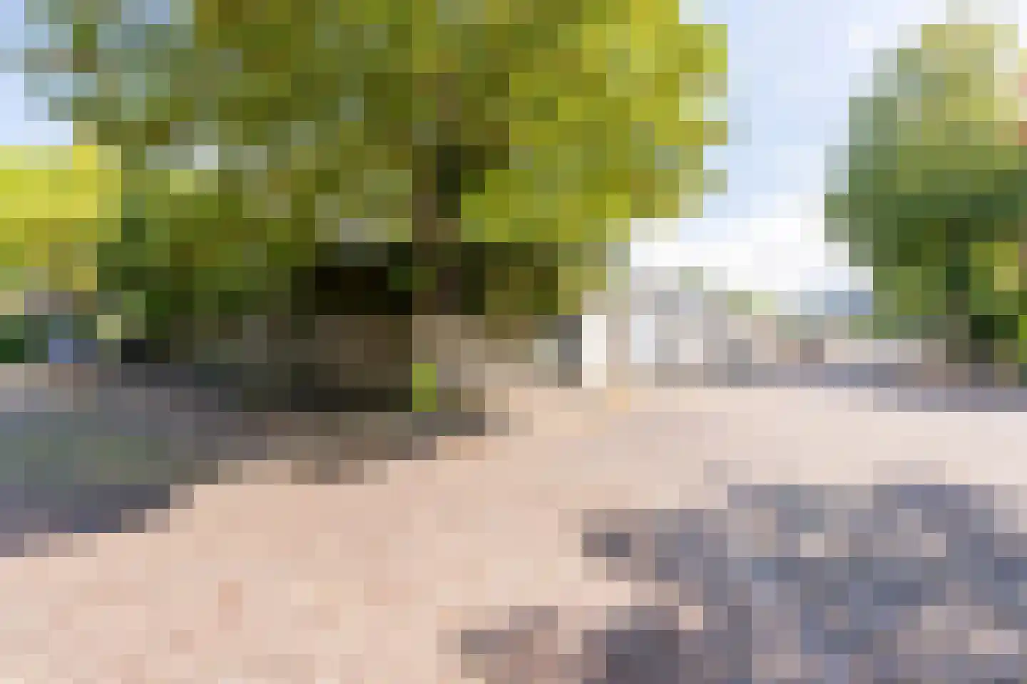 President Kennedylaan 102 Oegstgeest thumbnail 38