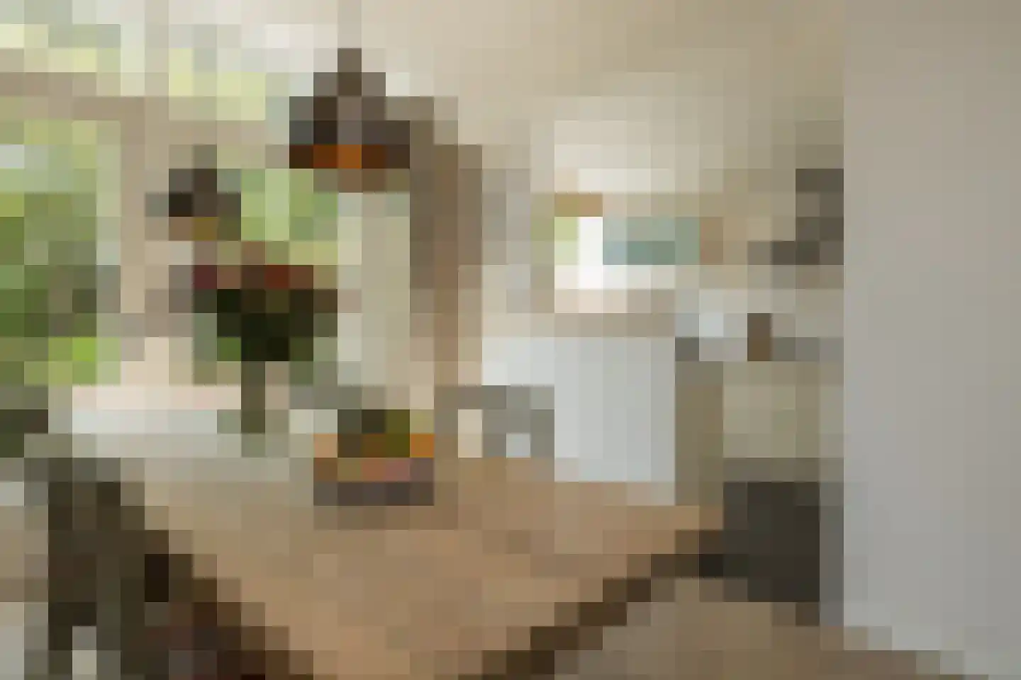 President Kennedylaan 106 Oegstgeest thumbnail 12
