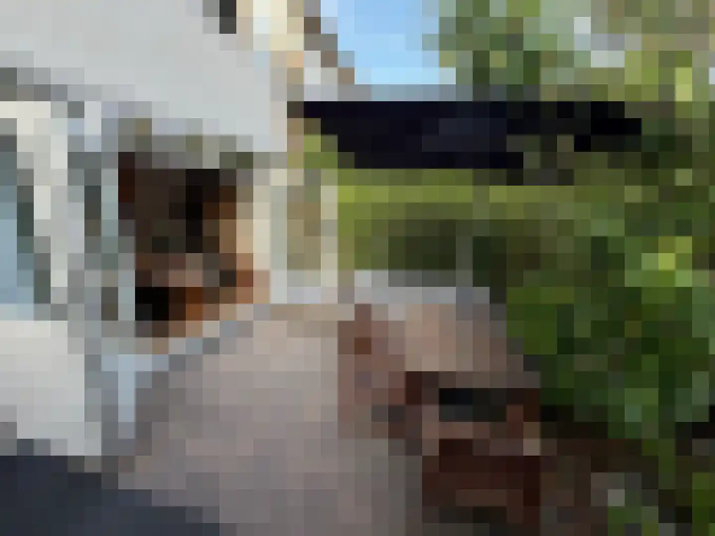 President Kennedylaan 106 Oegstgeest thumbnail 19