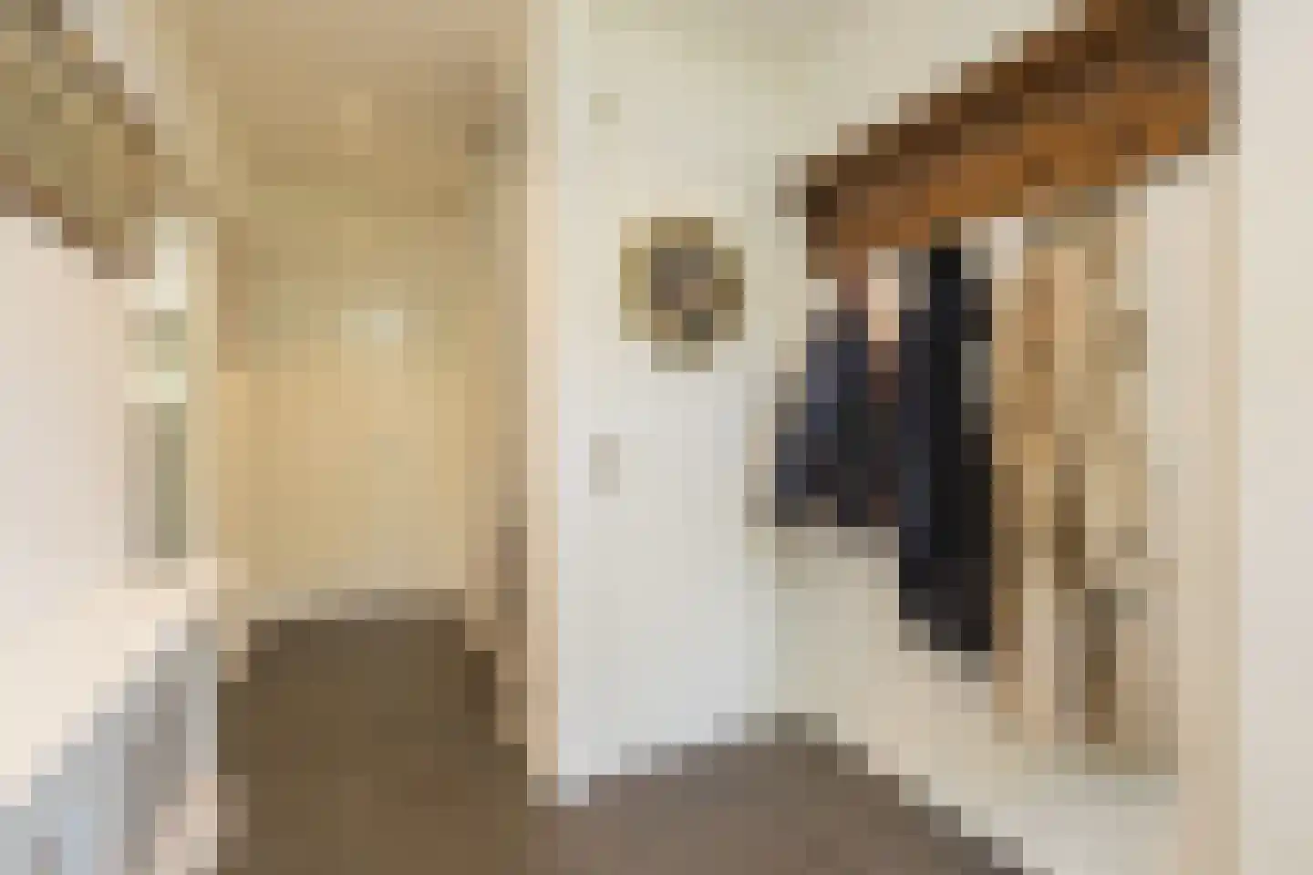 President Kennedylaan 106 Oegstgeest thumbnail 6