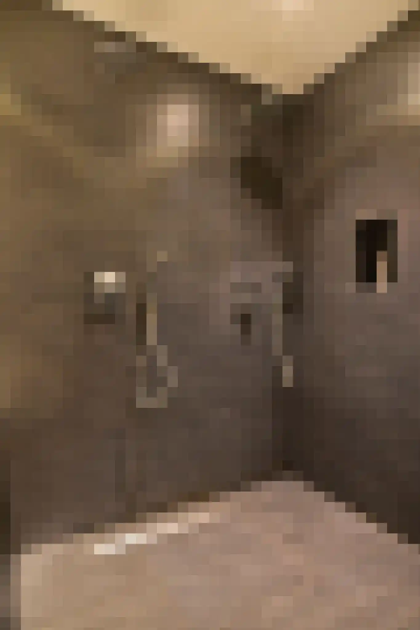 President Kennedylaan 12 1 Amsterdam thumbnail 21